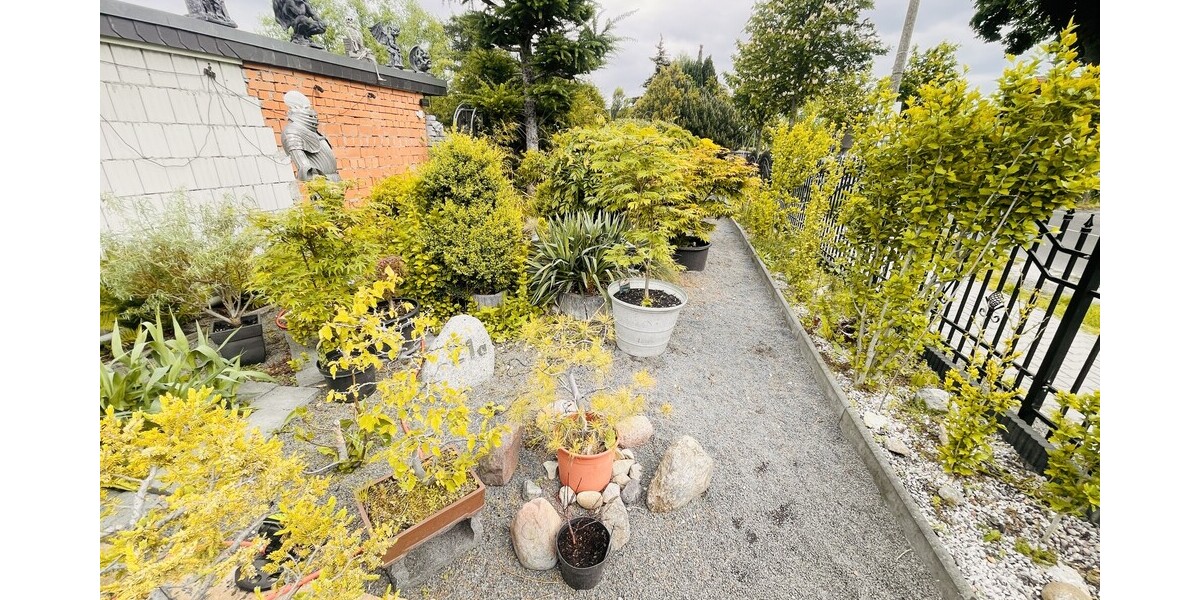 Blick in Richtung - Außenfläche - Gartenbereich