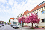 FREIES BAUGRUNDSTÜCK - IDEAL FÜR EIN MEHRFAMILIENHAUS ODER 2 DOPPELHAUSHÄLFTEN! - Grundstück Falkensee Falkenhain | Angebot:26632784