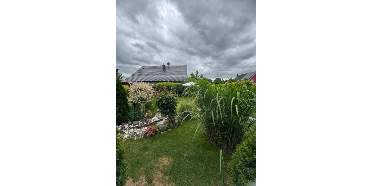Garten 2